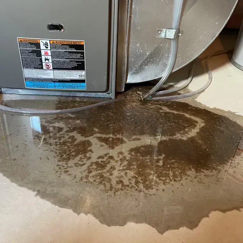 Appliance Leak Cleanup in Chicago, IL